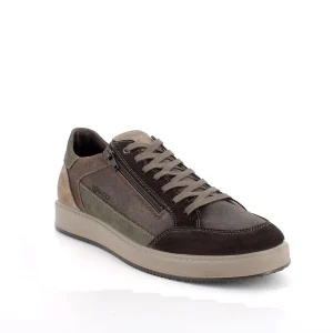 UOMO - Sneakers - IGI & CO - 8633822
