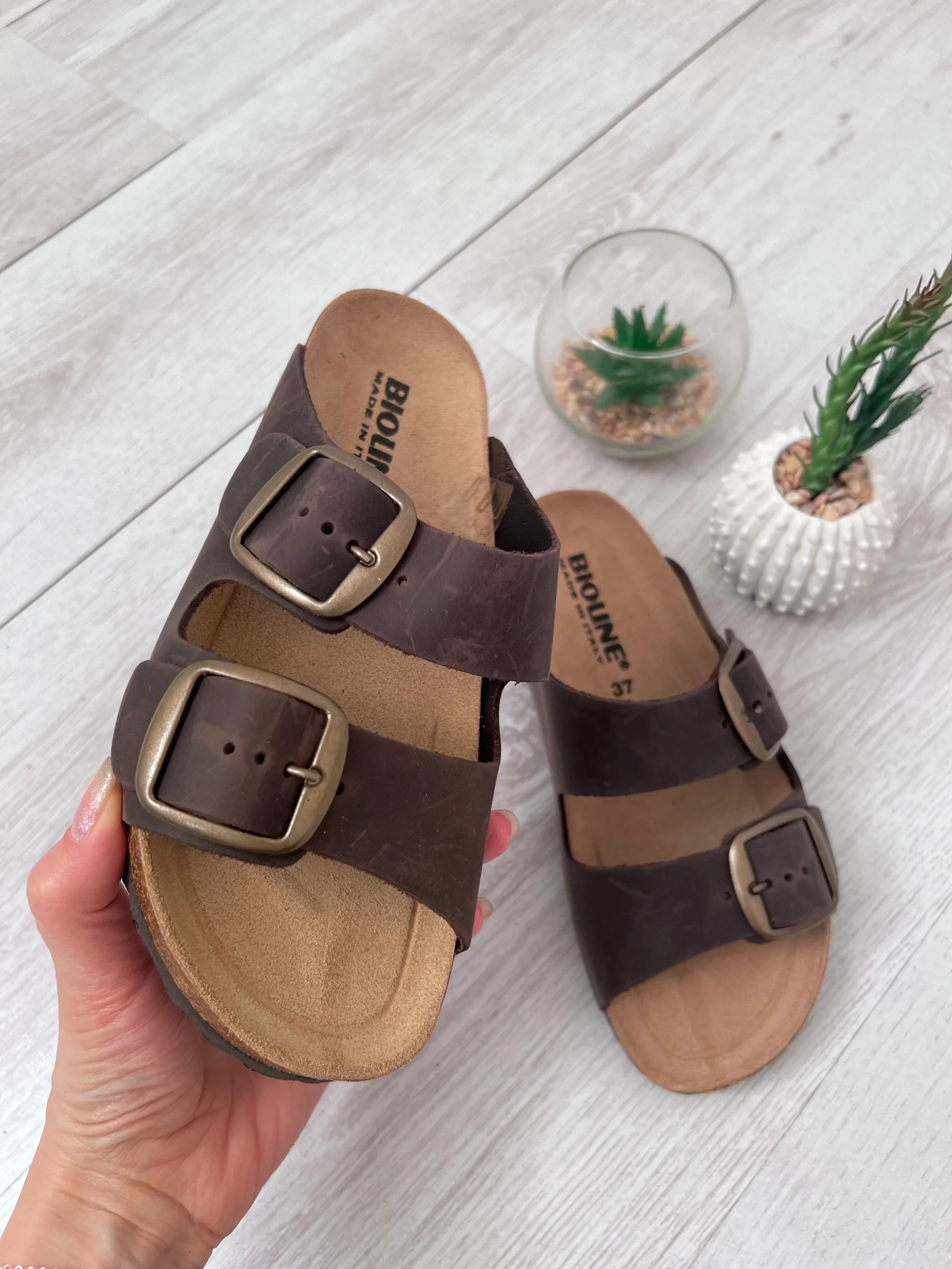 Ciabatta - BIOLINE - 424 T.MORO - immagine 3