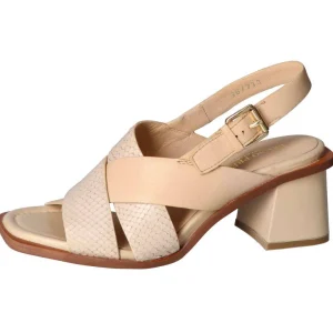 BRUNO PREMI SANDALO DONNA BD1504X