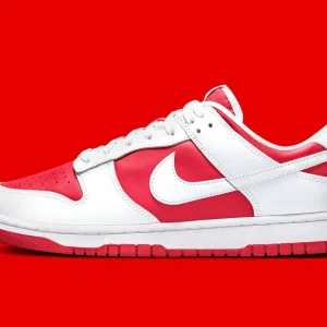 NIKE DUNK LOW (GS) CW1590-600