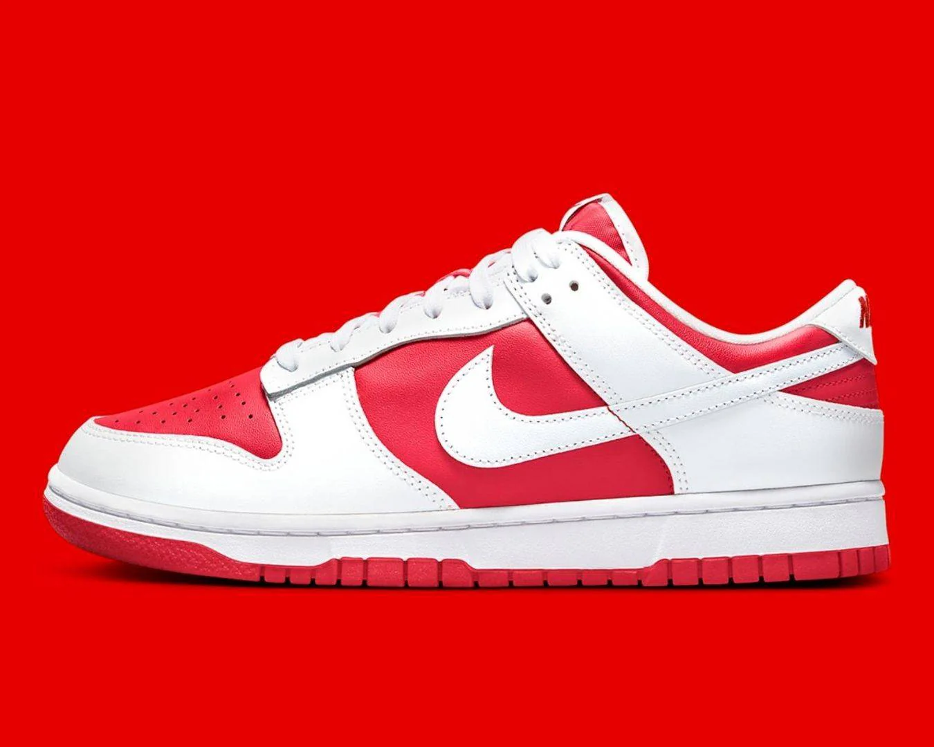 NIKE DUNK LOW (GS) CW1590-600